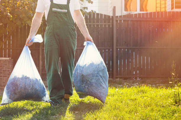 Best Dumpster Rental Services  in Lambertville, MI