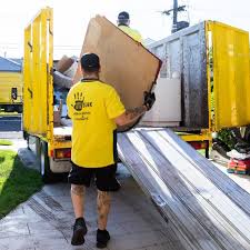 Best Hoarding Cleanup  in Lambertville, MI